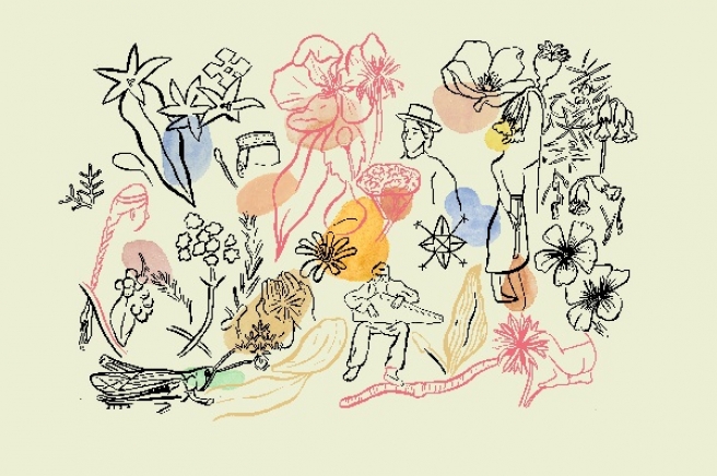 LATVIA Lote Vilma Vitina colour SMALL