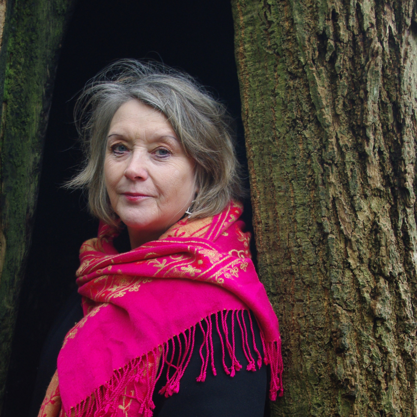 Elfyn John Briggs web